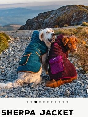 Wilderdog Sherpa Fleece Hooded Dog Jacket Turquoise Blue Large